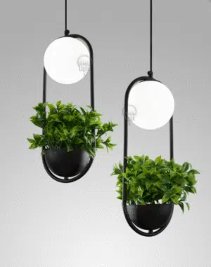 פלו צומח Flow Green