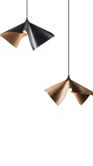 בלום תלייה- Bloom Pedent